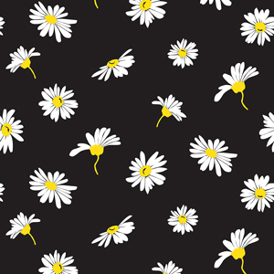 Seamless White Daisy Pattern on Black Background. Tiny Flowers Endless Design.