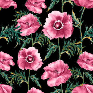 Seamless Hand Drawn Floral Design, Beautiful Flowers on Black Background.